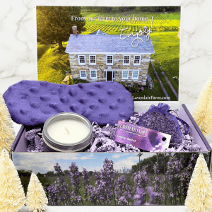 Lavender Box